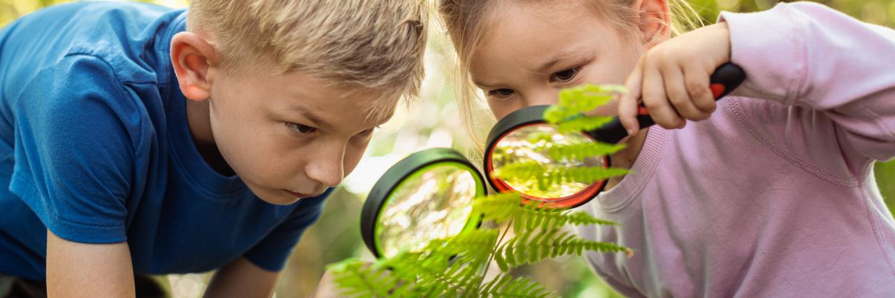 Zelená energia - Budujeme klimatické záhrady